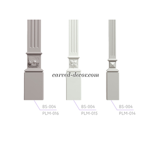 BS-004 BS-004
